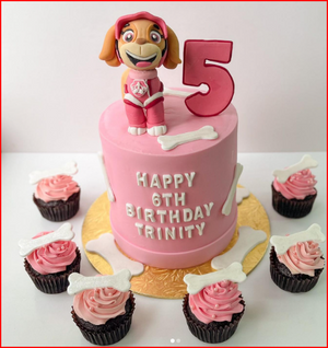 Party Packages - includes 8 inch Cake & 12 pcs Cupcakes